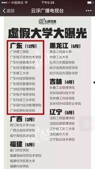 广东网红爆料新闻报道最新,最新民生热点事件引发社会关注