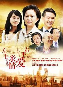 左手亲情右手在线观看,跨越时空的温暖陪伴