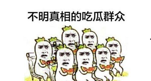 上海免费吃瓜群众,免费吃瓜群众，共享城市夏日清凉盛宴