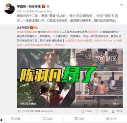 纪伟粉丝爆料视频播放时间,揭秘精彩瞬间，时长曝光引热议
