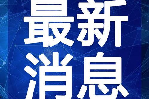 遇见豹子最新爆料视频