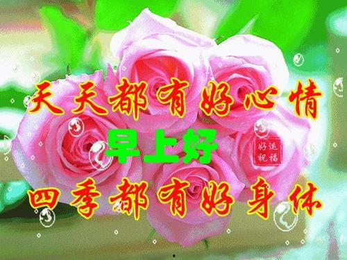 早安最新爆料图片卡通版,揭秘明星幕后趣事