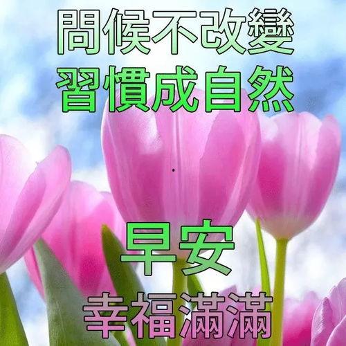 早安最新爆料图片卡通版,揭秘明星幕后趣事  第3张