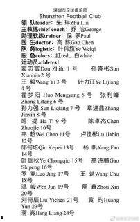 足球海外爆料最新消息新闻,足球海外动态，揭秘赛场幕后风云