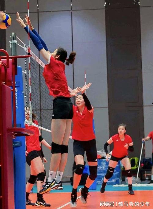 集训爆料女排视频大全最新,最新视频大全精彩瞬间回顾  第3张