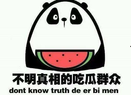 娱乐吃瓜酱八卦图